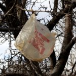 plasticbag_tree