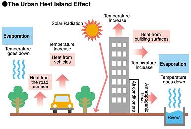 Wonder What a Heat Island Is?